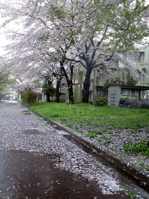 c0050264_11192832.jpg