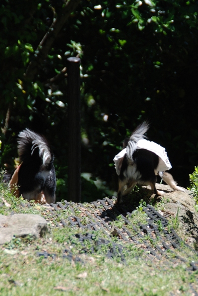 f0065768_1522524.jpg