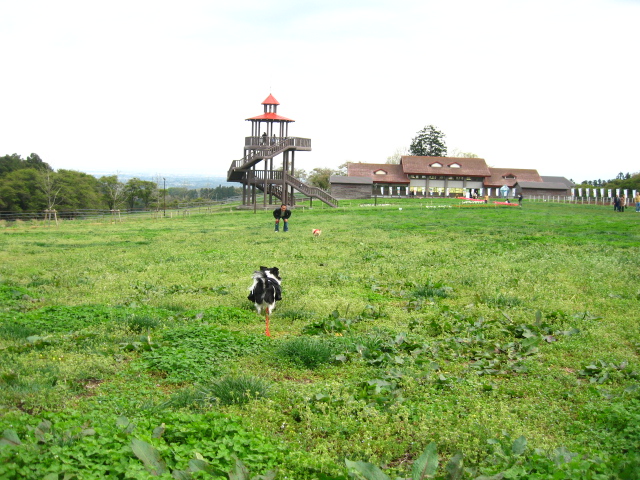 d0070473_10471368.jpg