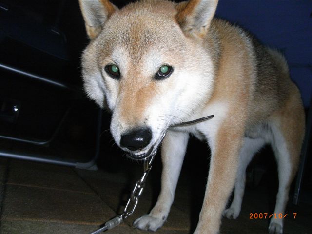 e0133273_13344851.jpg
