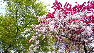 a0003079_21285929.jpg