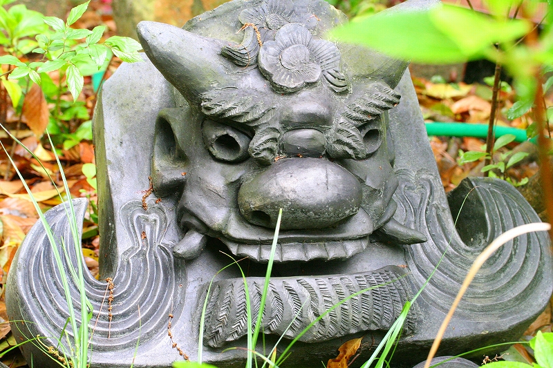 e0024081_1618566.jpg