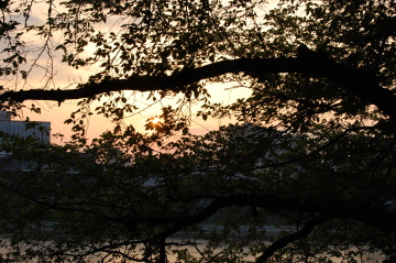 d0129786_2156238.jpg