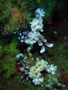 a0109187_2311367.jpg