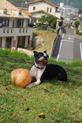 c0092787_1573634.jpg