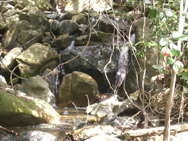 d0133489_20452278.jpg