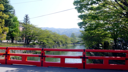 a0079292_1112762.jpg