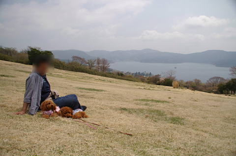 b0104592_22872.jpg