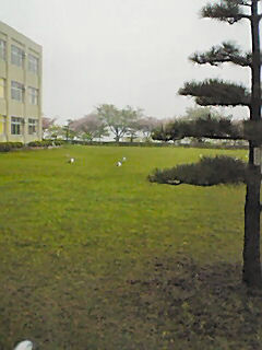 b0124693_18322345.jpg