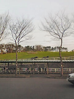 b0124693_18384860.jpg