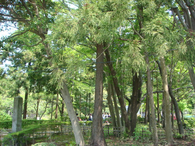 f0137694_2063353.jpg
