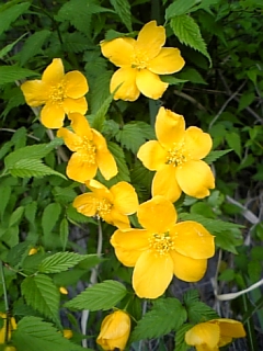 b0125397_16214035.jpg