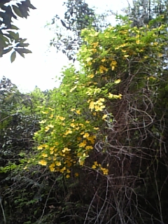b0125397_16215174.jpg
