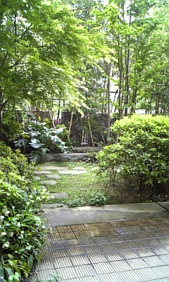 b0048298_1653204.jpg