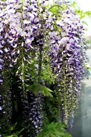 c0129498_22531753.jpg