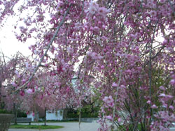 e0013399_20323533.jpg