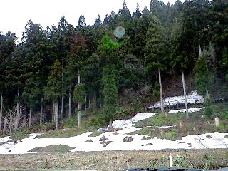 e0041699_0314295.jpg