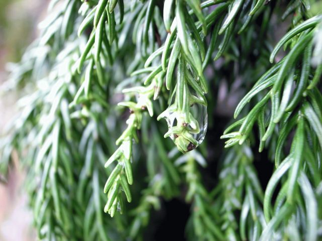e0041699_0334856.jpg