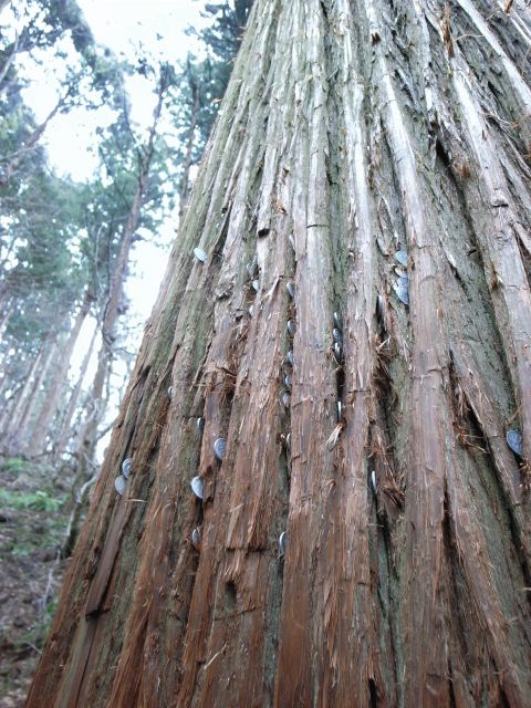 e0041699_035620.jpg