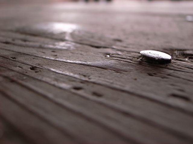 e0041699_0362212.jpg