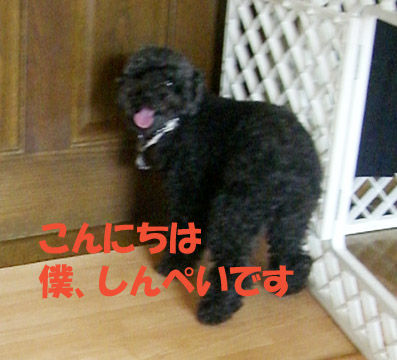e0013900_12181456.jpg