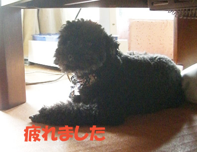 e0013900_1229150.jpg