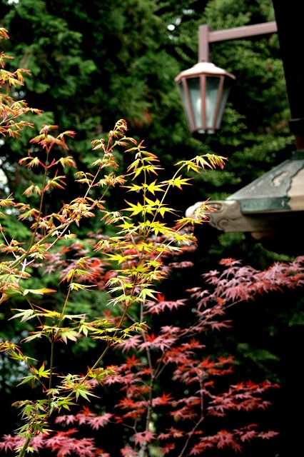 f0083400_18512438.jpg