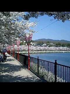 f0146503_2137332.jpg