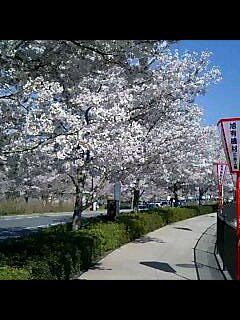f0146503_21413385.jpg