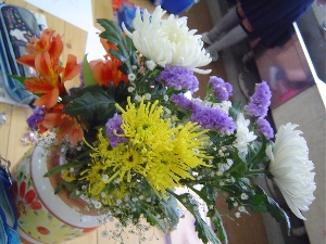 c0052304_62327.jpg