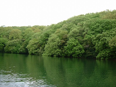 d0145806_20265712.jpg