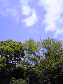 c0132608_16101226.jpg