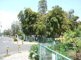 d0143214_22133696.jpg