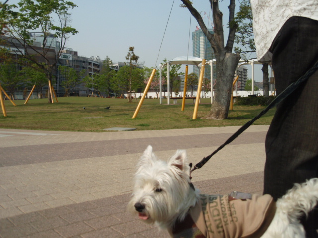 b0120217_1233295.jpg