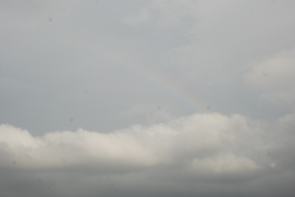 c0105617_1750997.jpg