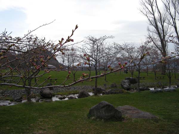 d0080118_22413053.jpg