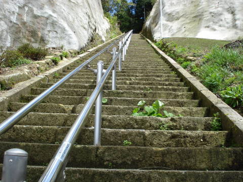f0033921_5553319.jpg
