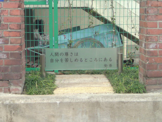 e0016828_22453792.jpg