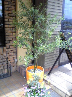a0099129_14343880.jpg