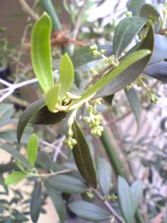 a0099129_14452550.jpg