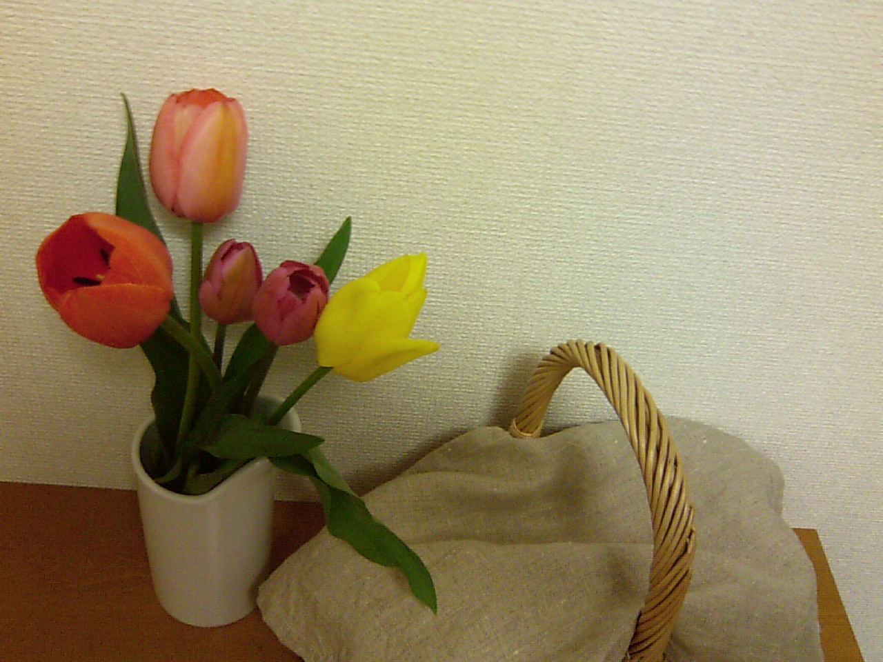 c0100534_619888.jpg