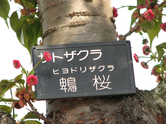 f0099535_20285957.jpg