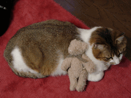 c0136736_19462597.gif