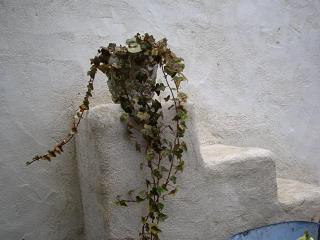 f0150936_17573555.jpg