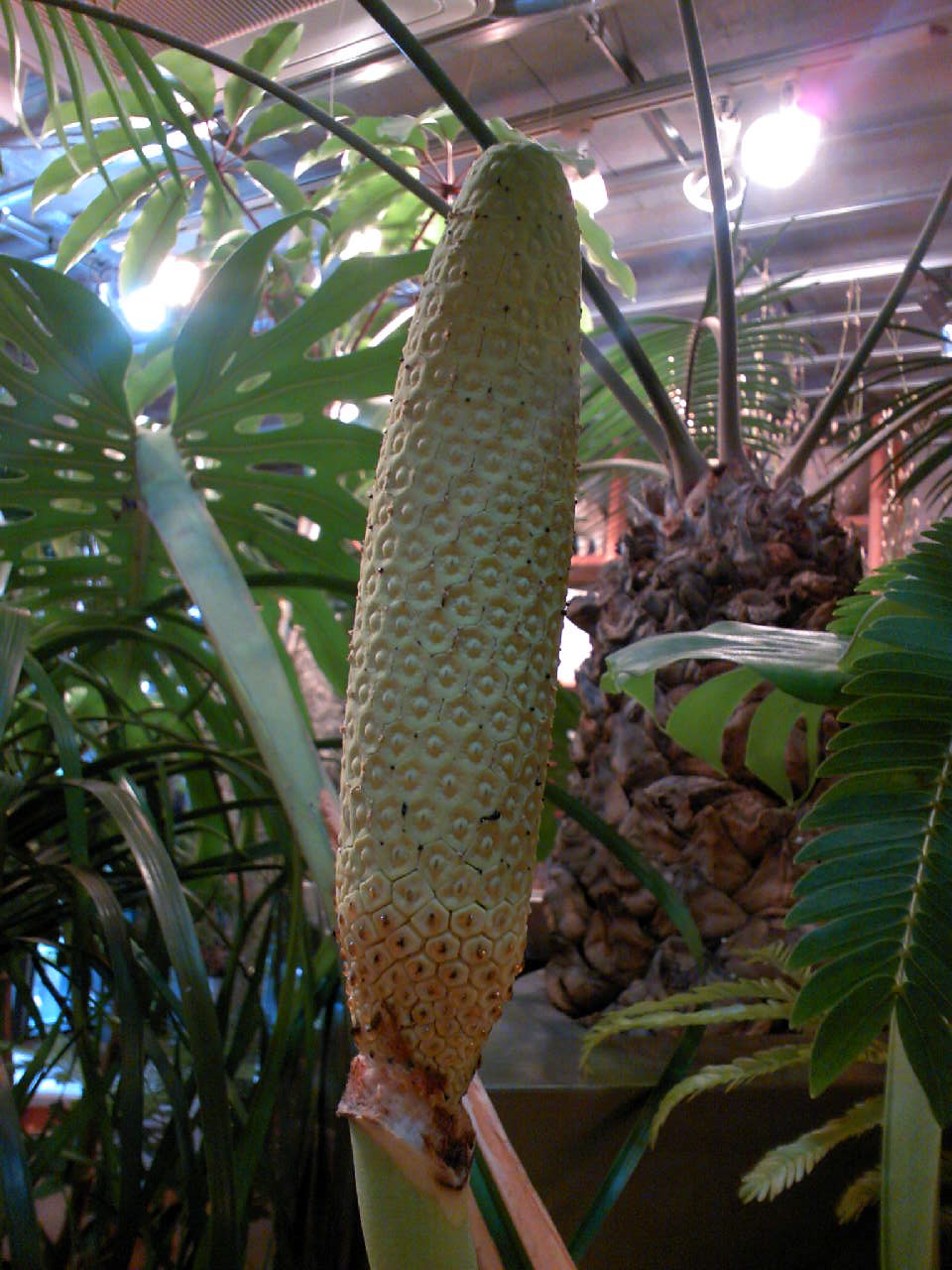 c0125637_22565738.jpg