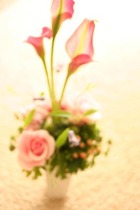 f0158841_0412296.jpg