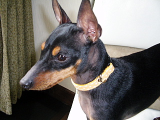 c0123149_216497.jpg