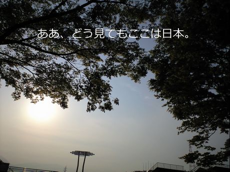a0090451_2203934.jpg