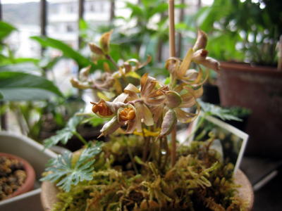 c0147952_2216733.jpg