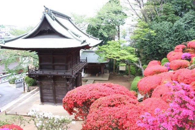 f0044056_951086.jpg